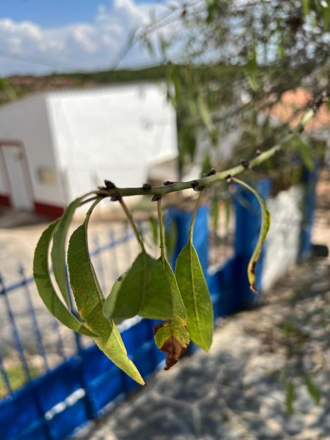 Casa Da Eira Villa Reguengos de Monsaraz Bagian luar foto