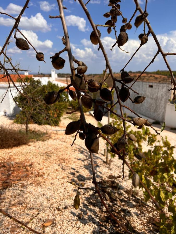 Casa Da Eira Villa Reguengos de Monsaraz Bagian luar foto