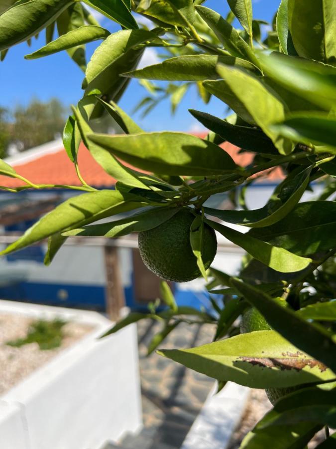 Casa Da Eira Villa Reguengos de Monsaraz Bagian luar foto