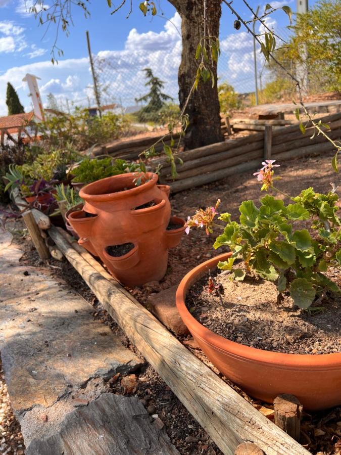 Casa Da Eira Villa Reguengos de Monsaraz Bagian luar foto