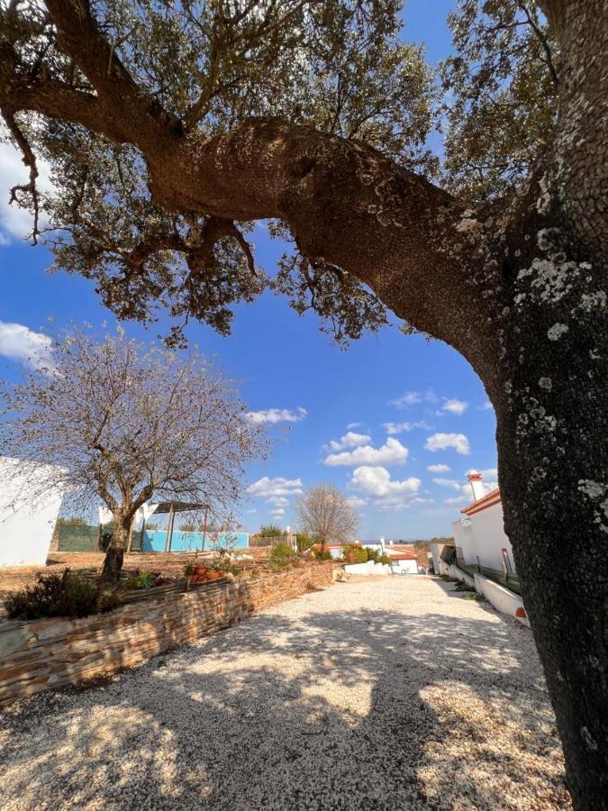 Casa Da Eira Villa Reguengos de Monsaraz Bagian luar foto